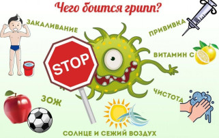 Профилактика ГРИППА и ОРВИ Профилактика ГРИППА и ОРВИ.