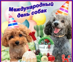 Международный День Собак Международный День Собак.